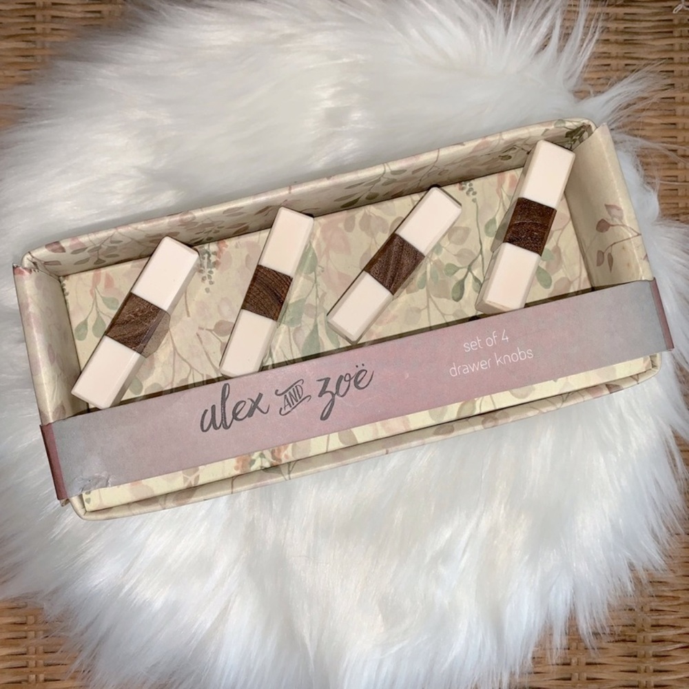 NWT Alex & Zoe Set of 4 boho drawer knobs cabinet pulls replacement hardware